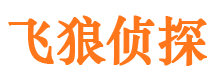 龙里市侦探公司